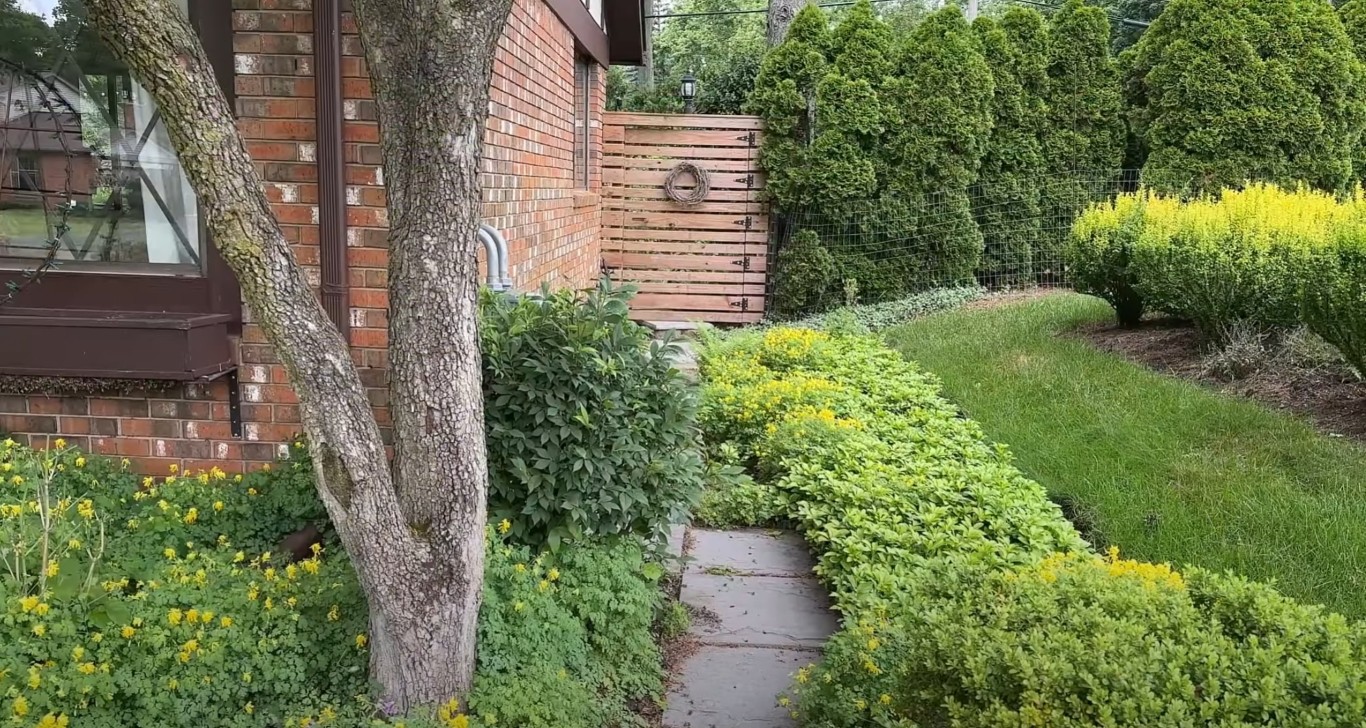 Lawn Care & Maintenance service in Brea, CA